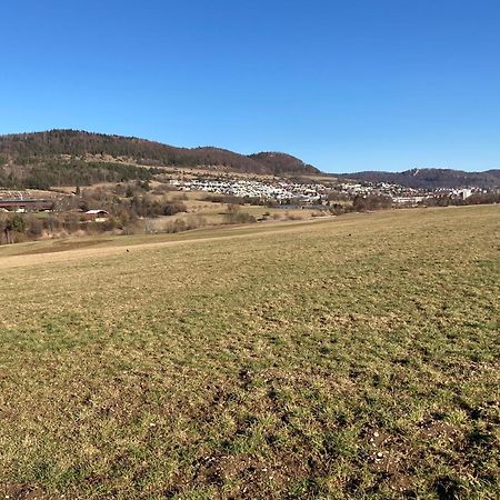 阿尔伯斯塔特Atemberaubender Ausblick Mit Premium-Wanderwegen Vor Der Haustuer公寓 外观 照片