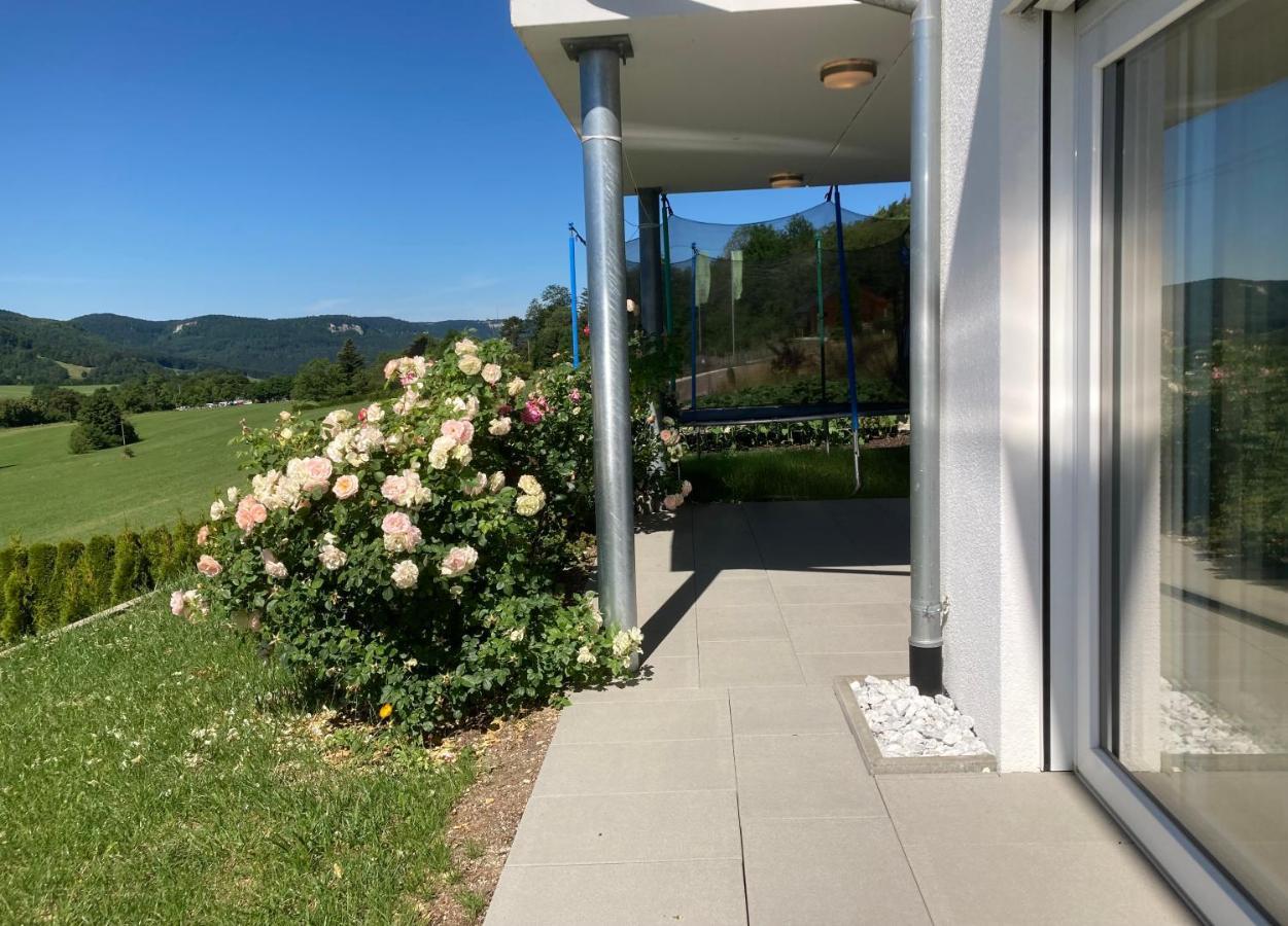 阿尔伯斯塔特Atemberaubender Ausblick Mit Premium-Wanderwegen Vor Der Haustuer公寓 外观 照片