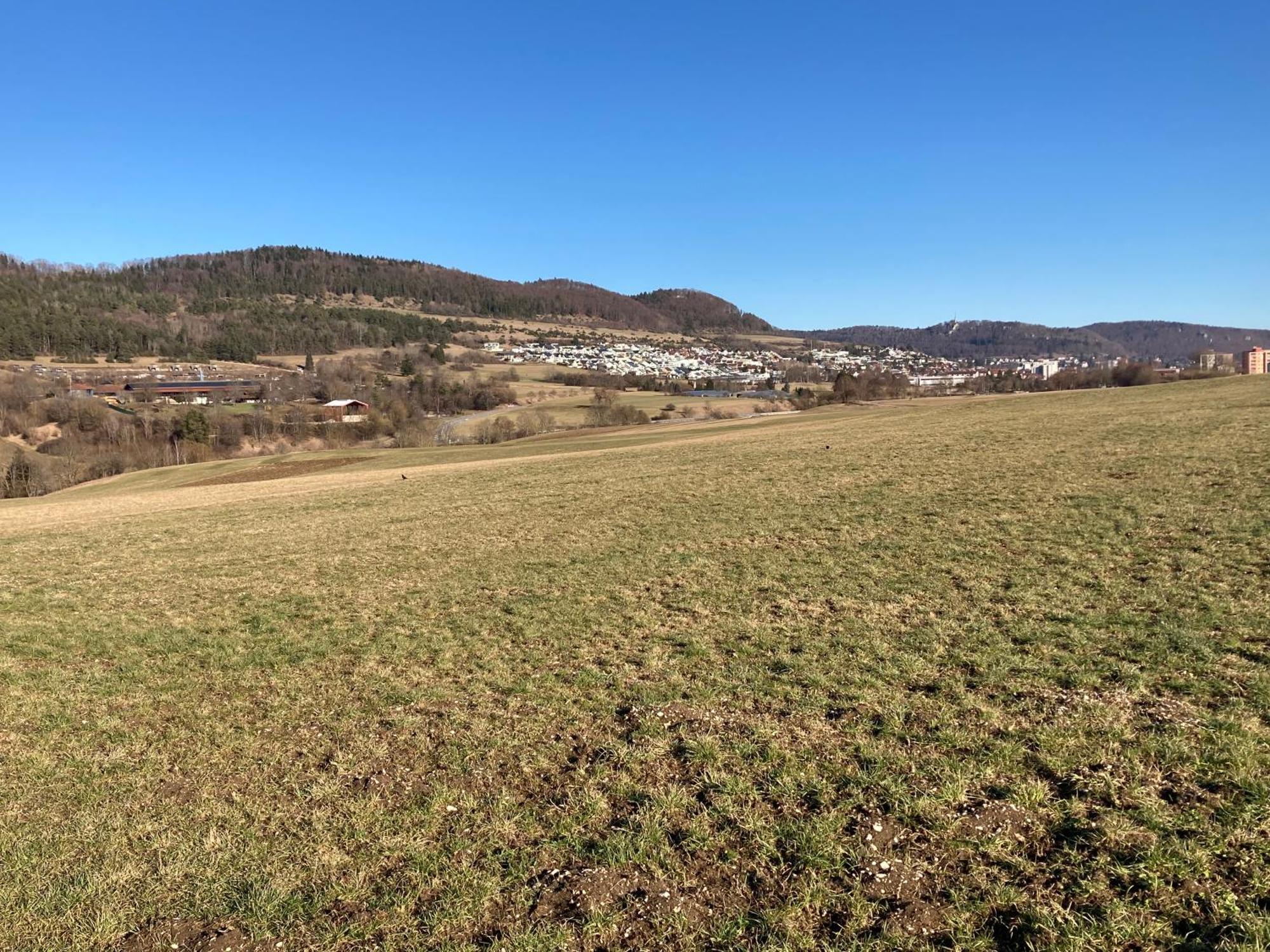 阿尔伯斯塔特Atemberaubender Ausblick Mit Premium-Wanderwegen Vor Der Haustuer公寓 外观 照片