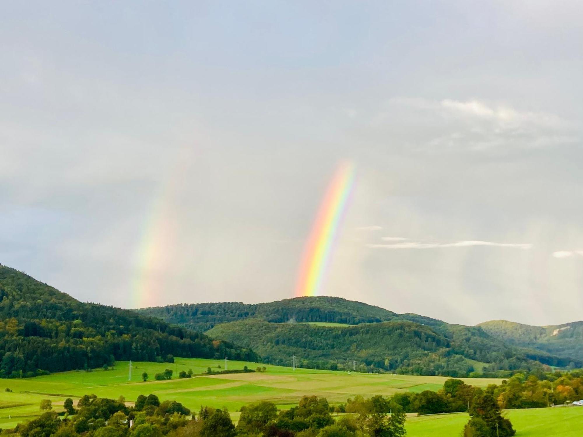 阿尔伯斯塔特Atemberaubender Ausblick Mit Premium-Wanderwegen Vor Der Haustuer公寓 外观 照片